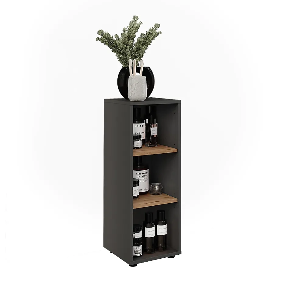 Vicco Armoire Midischrank Anthracite/Artisan 30x81cm avec 3 compartiments de rangement* Armoire De Salle De Bains