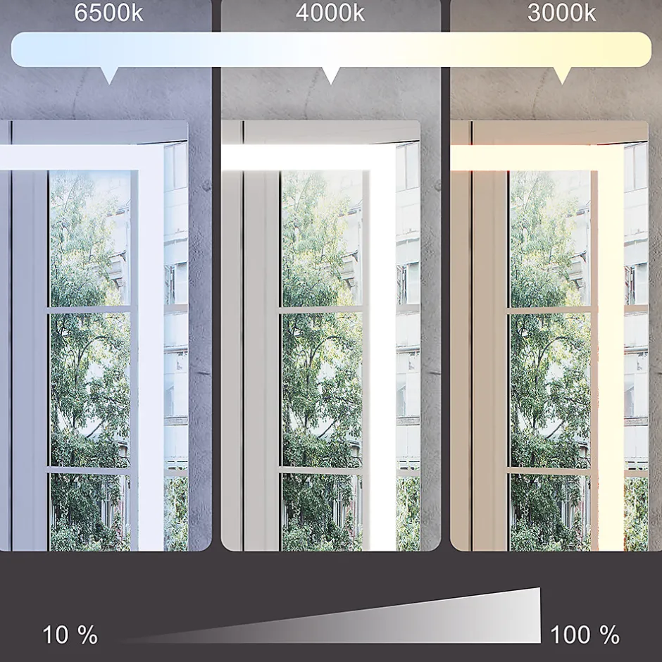 Vicco Miroir mural Verre 50x100cm avec éclairage frontal