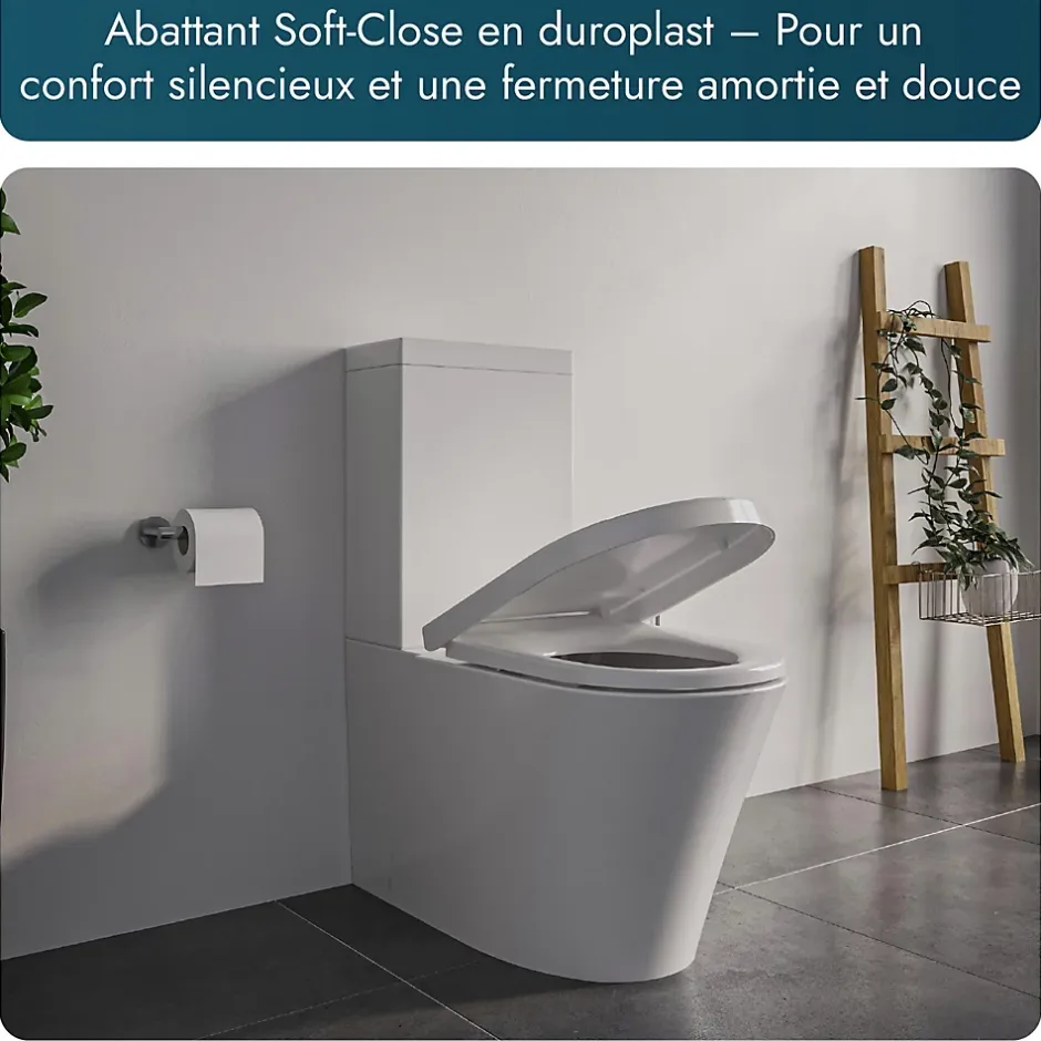 Bernstein WC à poser CT1099 - arrivée d'eau en haut - avec abattant Soft-Close