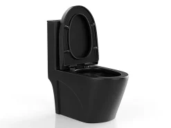 Vente-unique WC à poser noir mat en céramique - Evacuation verticale - NAGILAM
