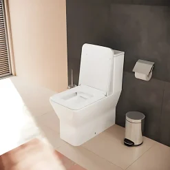 Hansgrohe WC à poser sans bride sortie universelle Elupura Original Q avec abattant* Wc À Poser