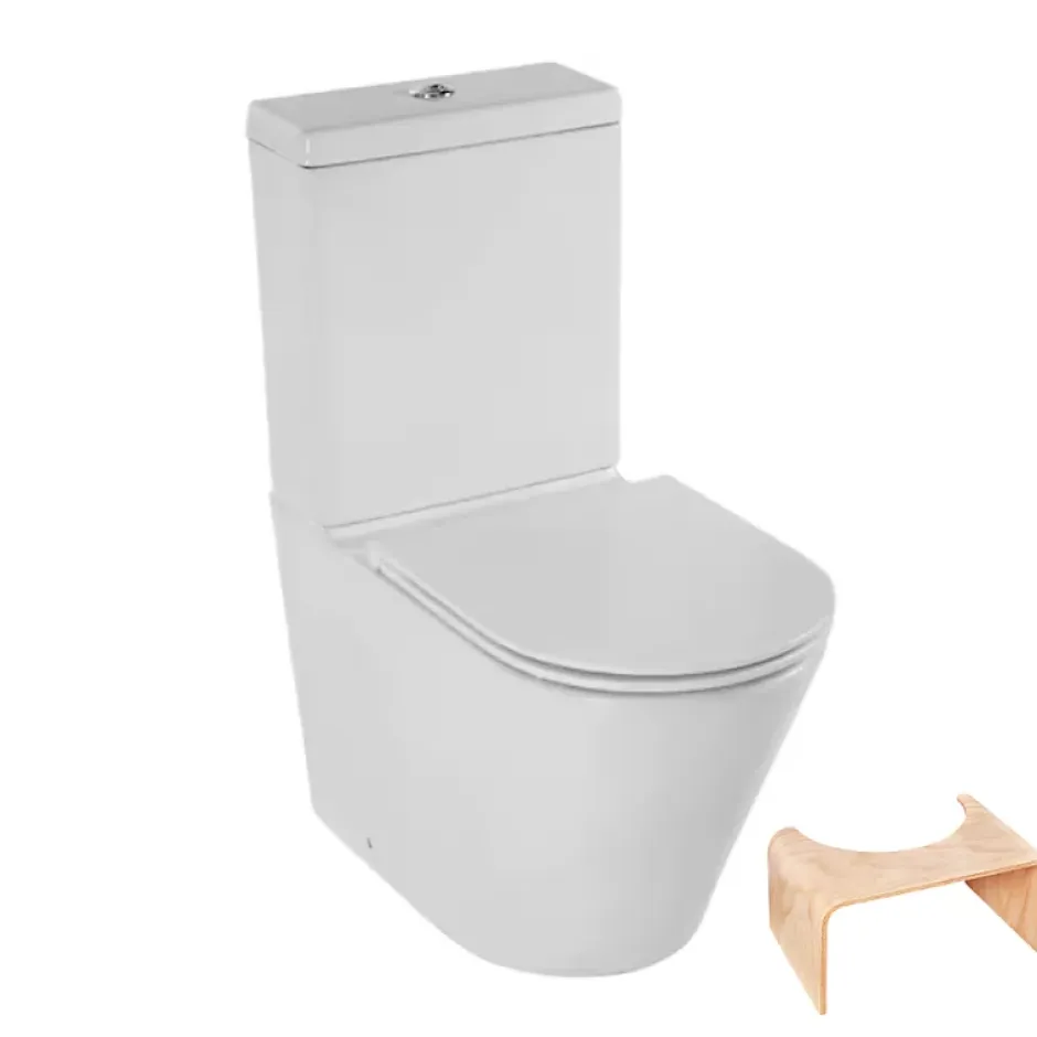Jacob Delafon WC à poser sans bride sortie universelle Rodin+ avec abattant frein de chute + tabouret physiologique bois