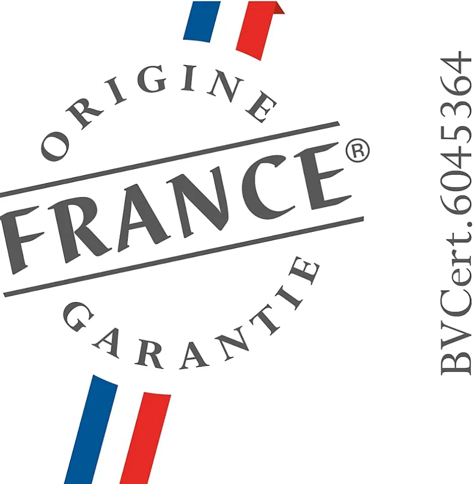 SFA WC broyeur avec abattant sortie horizontale et verticale Sanicompact Leader