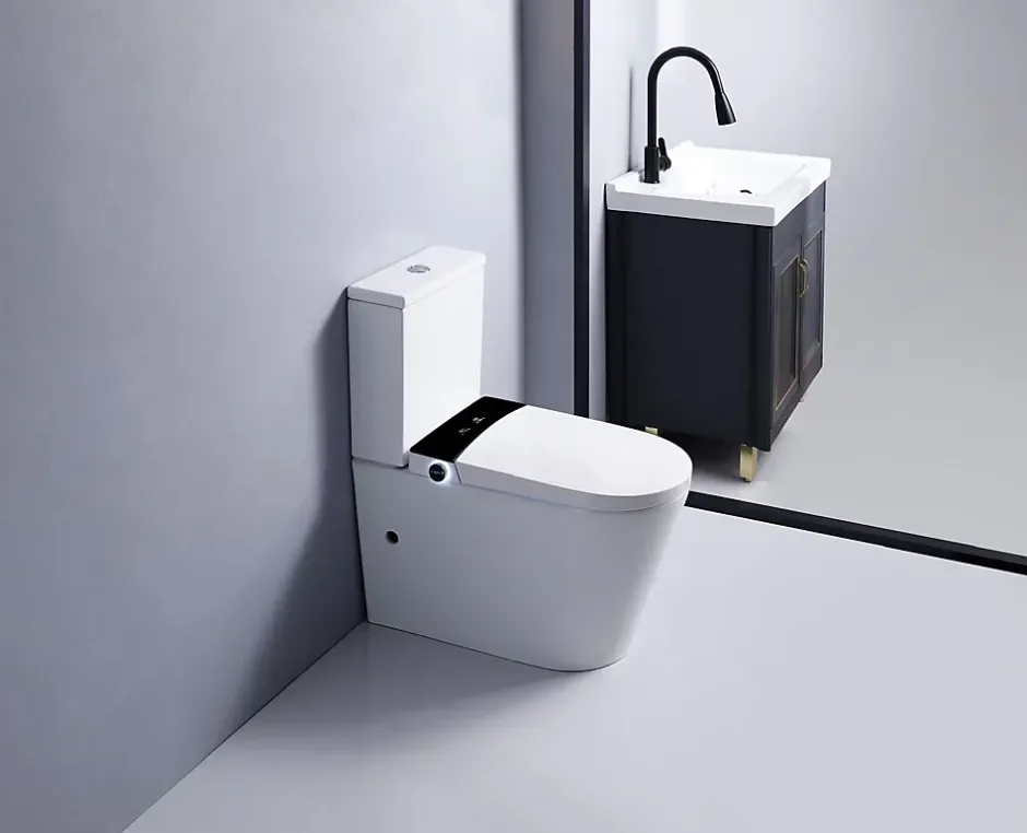 Rentside WC JAPONAIS EN CERAMIQUE - T5 WALL HUNG SUR PIEDS* Wc Japonais
