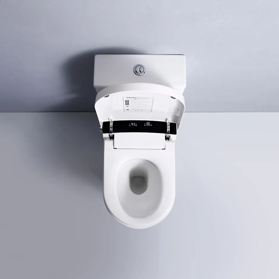Rentside WC JAPONAIS EN CERAMIQUE - T5 WALL HUNG SUR PIEDS* Wc Japonais