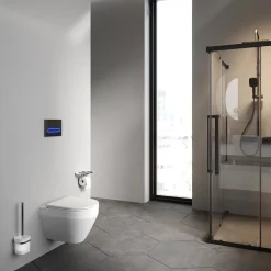 Am.Pm Europe WC suspendu céramique sans bride cuvette WC suspendu sans bord FlashClean abattant amov. frein chute softclose blanc AM.PM* Wc Suspendu