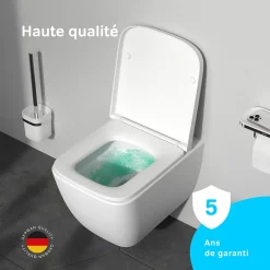 Am.Pm Europe WC suspendu céramique sans bride cuvette WC suspendu sans bord FlashClean abattant amov. frein chute softclose, blanc AM.PM Gem