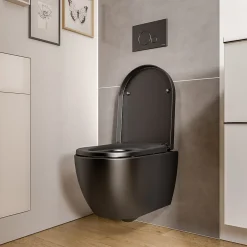 Bernstein WC suspendu Noir mat 36x53x36cm (LxPxH) sans rebord, abattant fermeture progressive + soft-close - VIREO