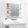 zmh Armoire à miroir avec LED Blanc brillant 70x16,5x60 cm