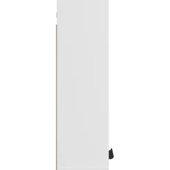 zmh Armoire de salle de bain murale Blanc 32x20x67 cm* Meuble Wc