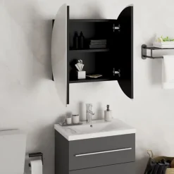 zmh Armoire de salle de bain miroir rond et LED Noir 47x47x17,5 cm